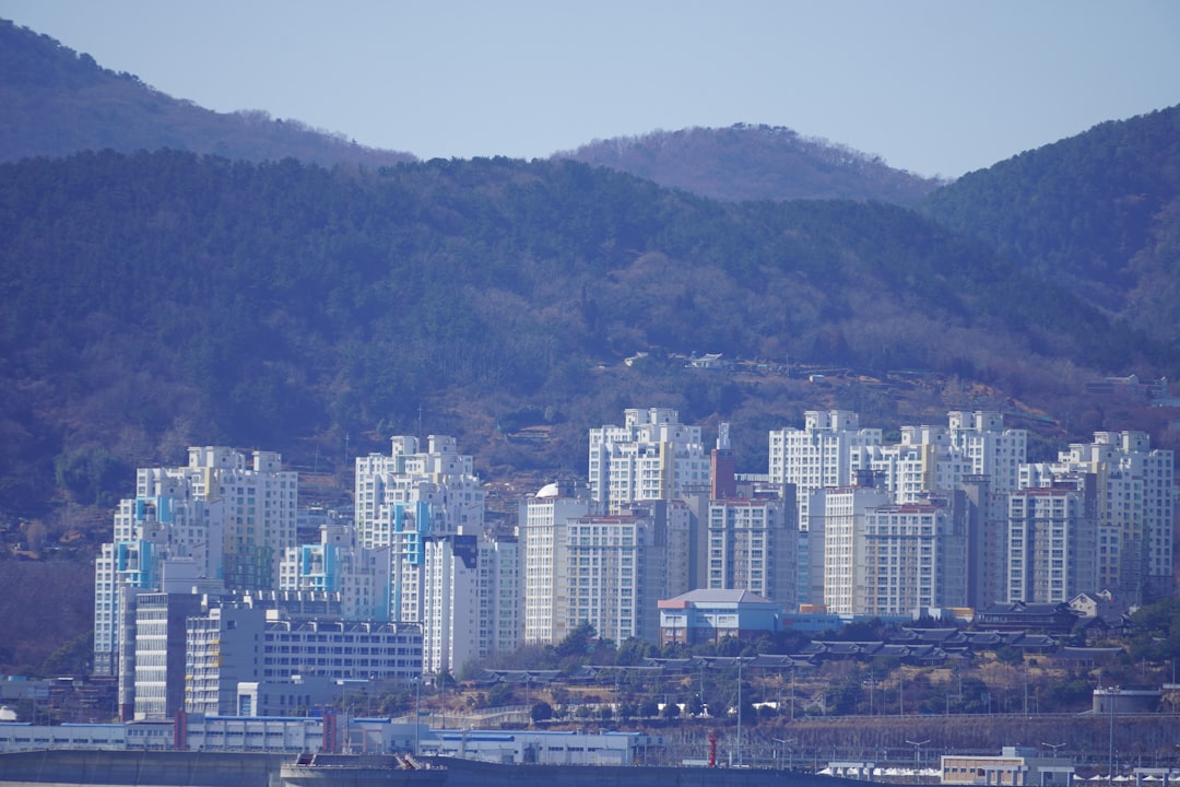 A large body of water with a city in the background