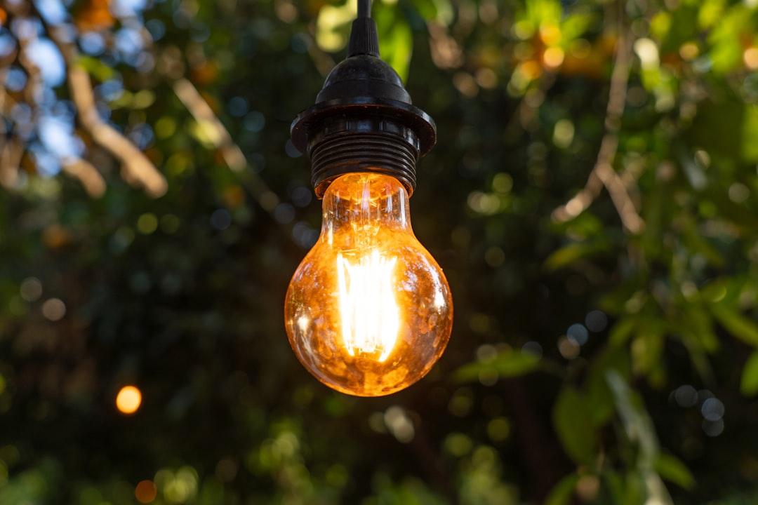 a lantern from a tree