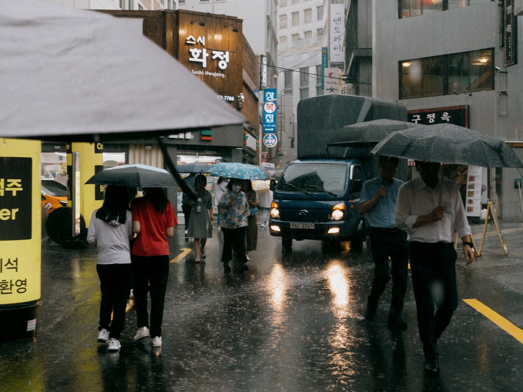 보험료 세액공제 서류 정리