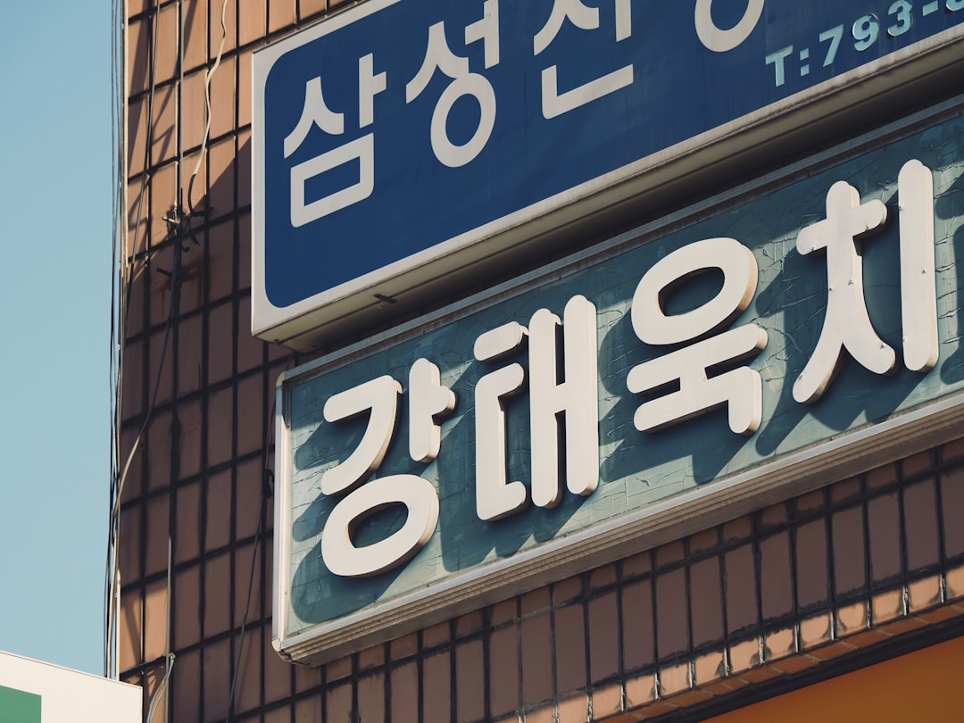 보험료 세액공제 서류 정리 예시 사진