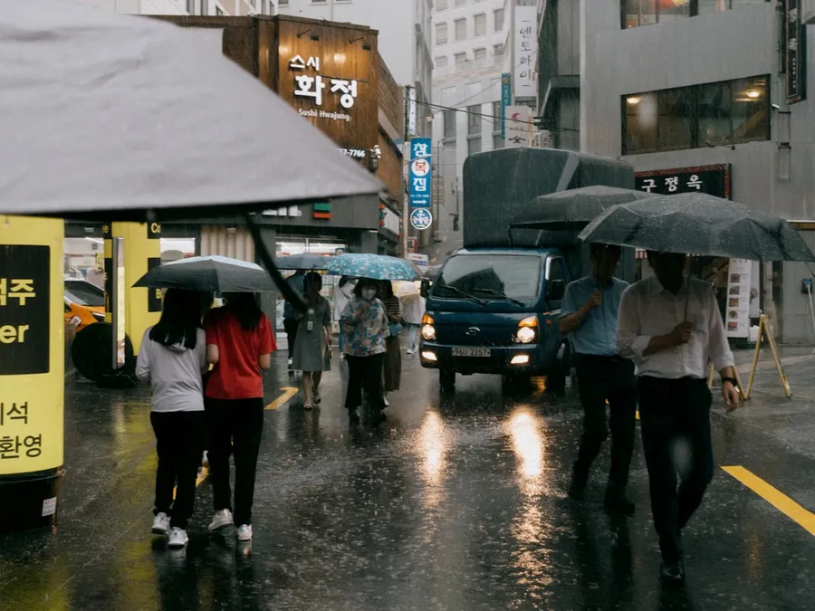 보험료 세액공제 서류 정리